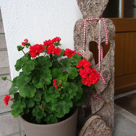 アパート Margaretha